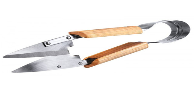 Stainless Steel Topiary Shears