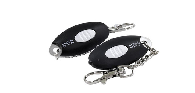 2pc LED Key Ring Torch