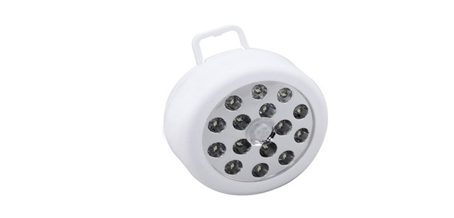 15 LED Motion Sensor Light